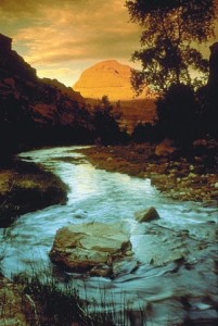 capitol Reef fly fishing