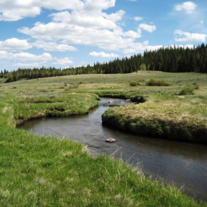 seven-mile-creek-fishing